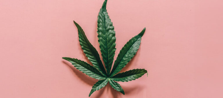 cbd-massge-cream
