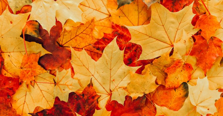 How Massage Helps You Stay Energized as the Days Get Shorter